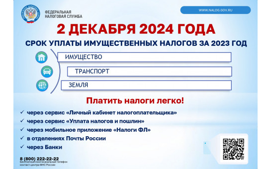Пояснения ФНС по уплате налогов 2024